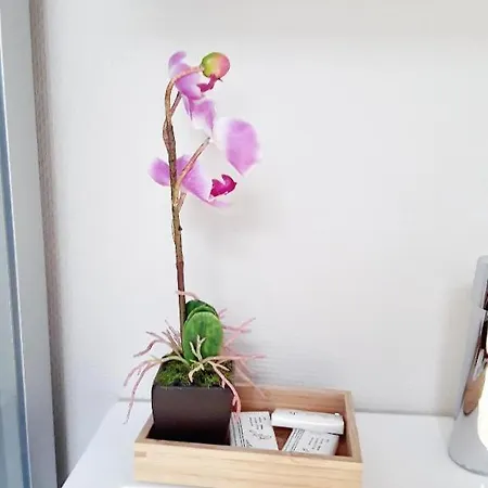 Le Jardin Du The Bord De La Meuse