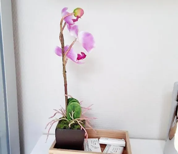 Le Jardin Du The Bord De La Meuse